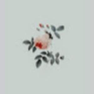 Meet your Posher, Claire